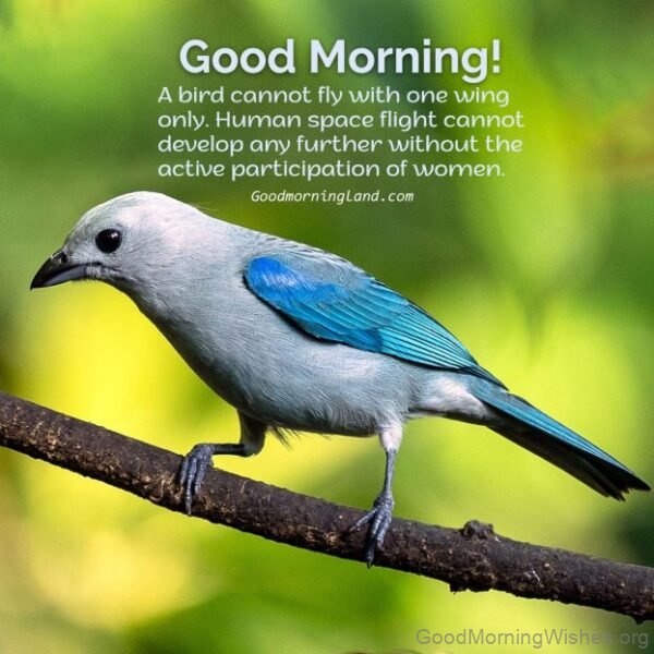 Wonderful Good Morning Birds Image