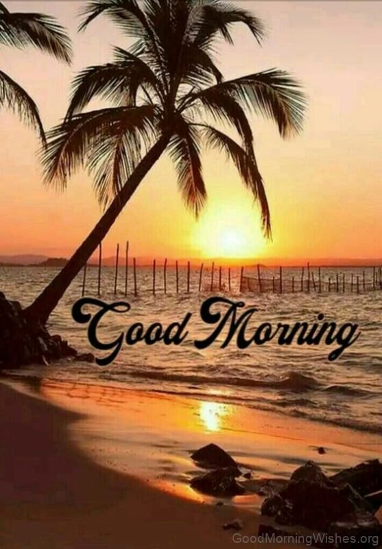 Good Morning Be Like A Tree