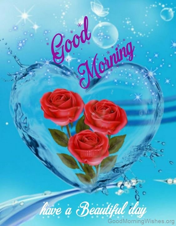 Good Morning Have A Beautiful Day Rose