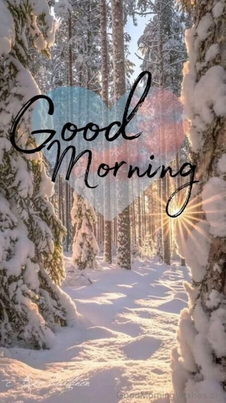 Good Morning Have A Fantastic Winter