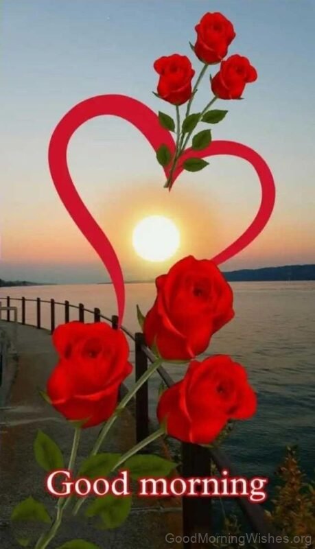 Good Morning Heart And Rose Have A Wonderful Day