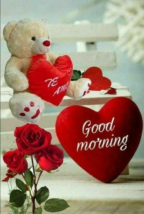 Good Morning Heart With Beautiful Teddy And Rose