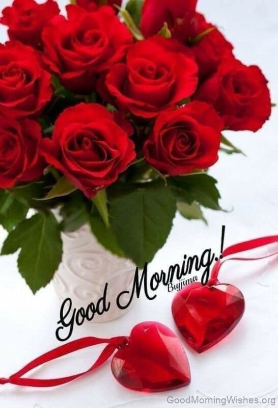 Good Morning Red Rose Flowers