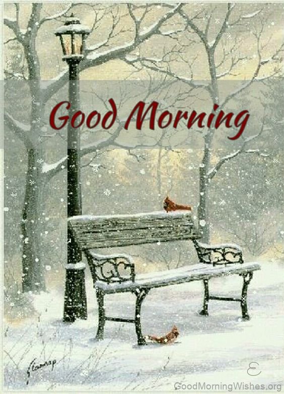 Good Morning Winter Have A Cool Morning