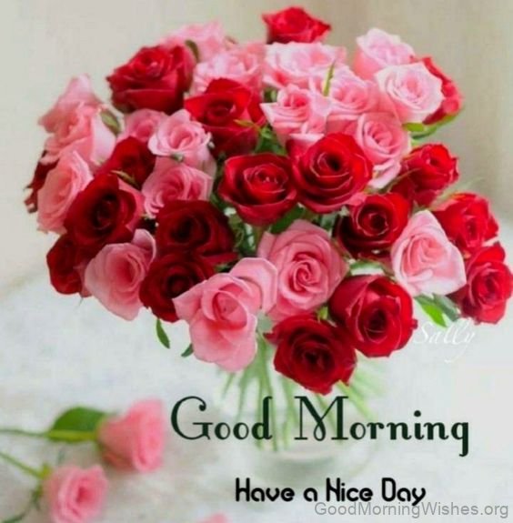 Have A Nice Day Good Morning