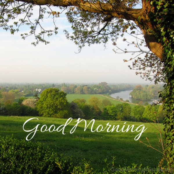 Learn Values From Roots Good Morning