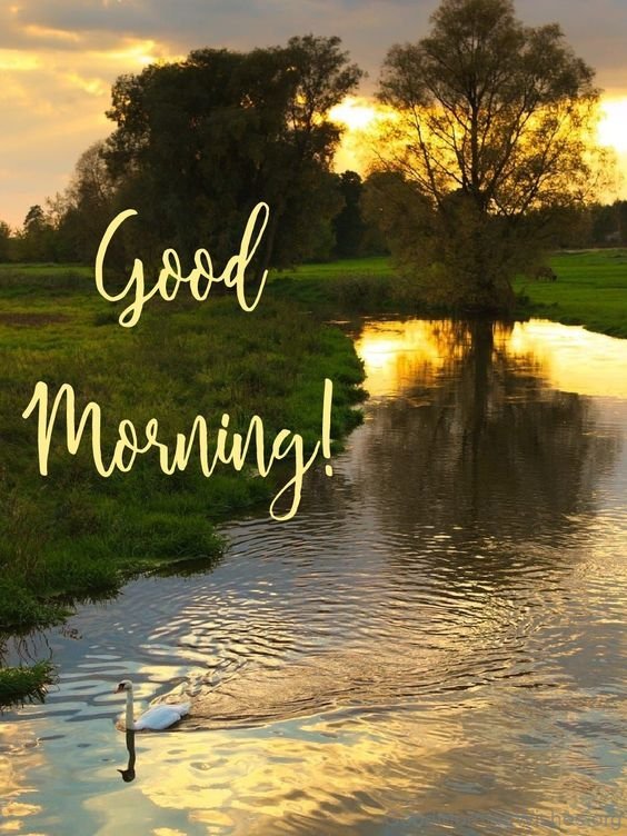 The Trees Bend To Caress Me Good Morning