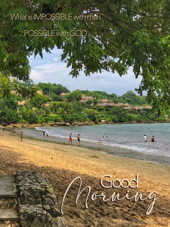 Trees Teaches The Meaning Of Patience Good Morning