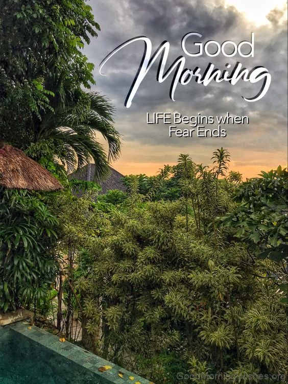 Welcome The Company Of Trees Good Morning