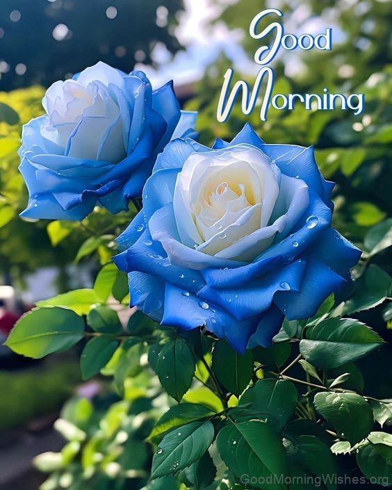 Good Morning Blue Flower Have A Good Day
