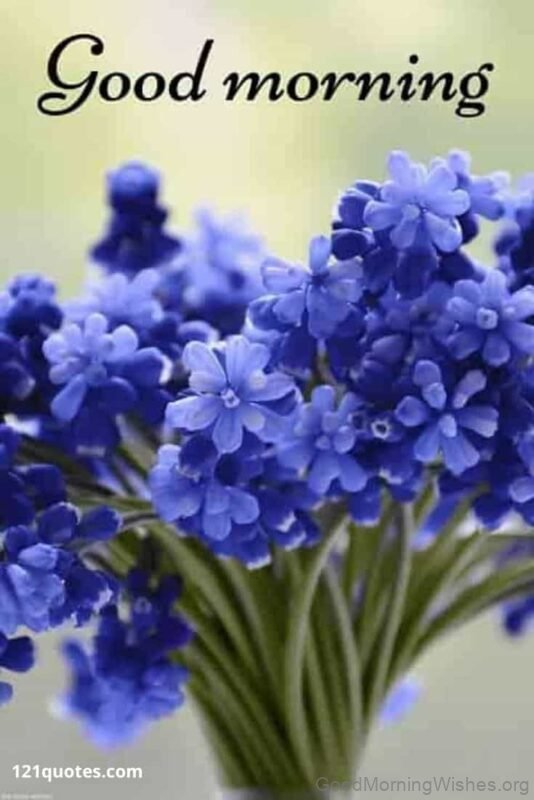 Good Morning Flower