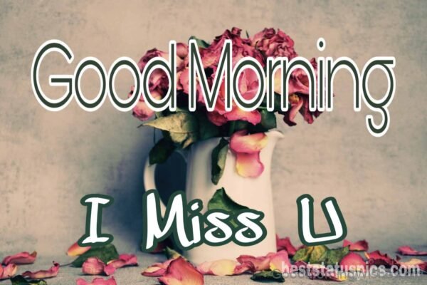 Good Morning Have A Lovely Day Miss You