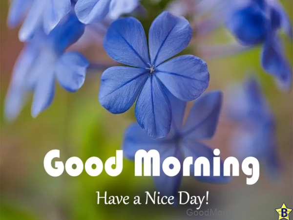 Good Morning Have A Nice Day Blue Flower