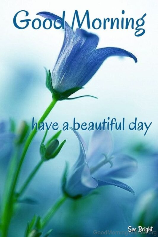 Have A Beautiful Day Good Morning Blue Flower