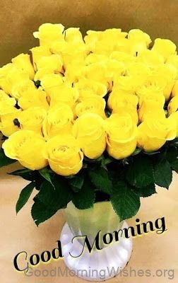 Have A Blessed Good Morning Yellow Rose