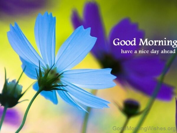 Have A Nice Day Ahead Good Morning