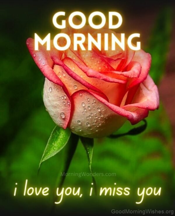 I Love You And Miss You Good Morning Pic