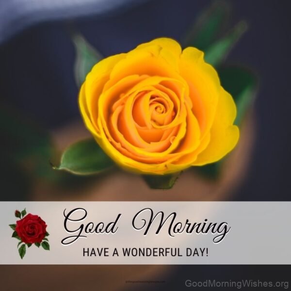 Wishing You A Wonderful Good Morning Yellow Rose