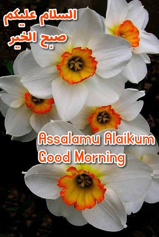 Assalamu Alaikum Good Morning Best Photo