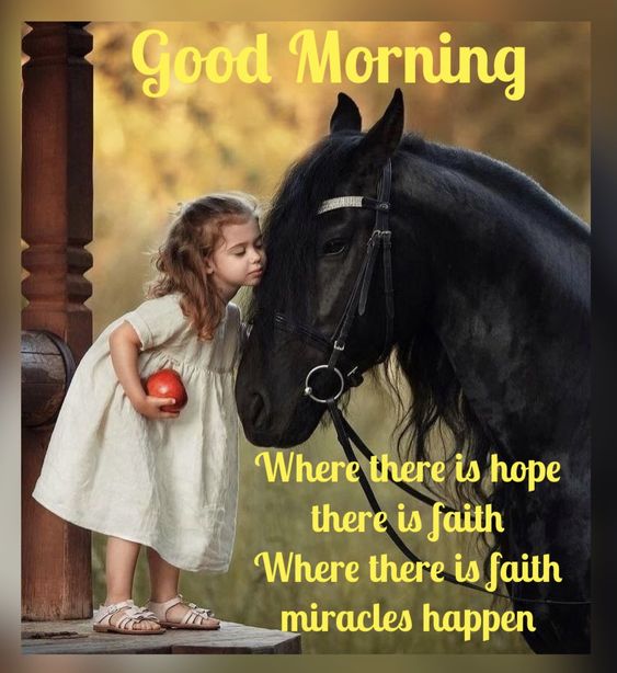 Beautiful Good Morning Horse And Girl Pic