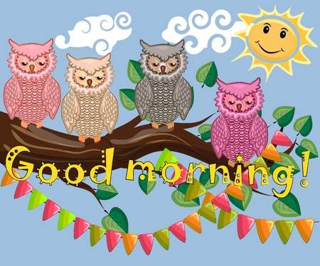 Beautiful Good Morning Owl Photo