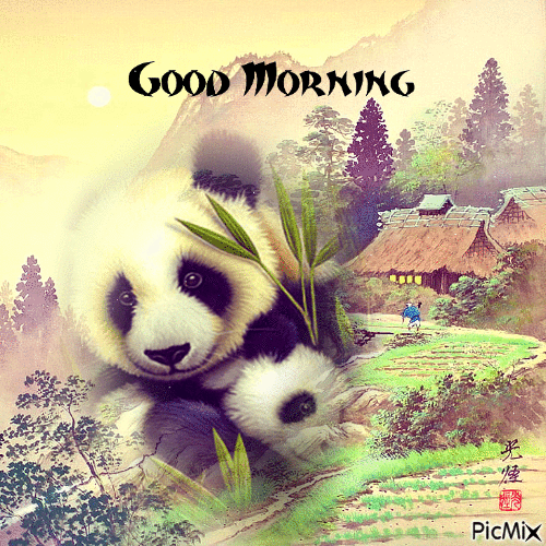 Beautiful Morning Panda Gif