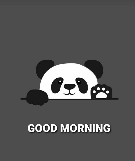 Beautiful Morning Panda