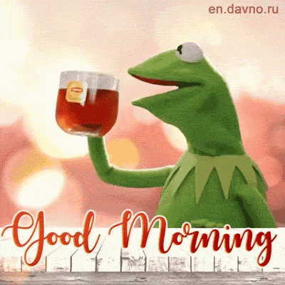 Best Good Morning Frog Image
