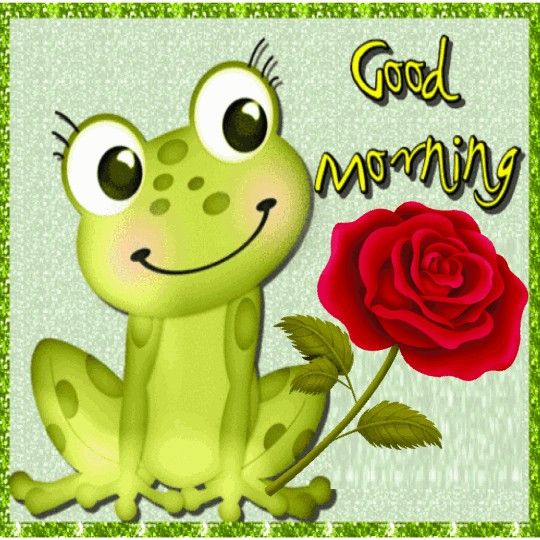 Best Good Morning Frog Rose Pic