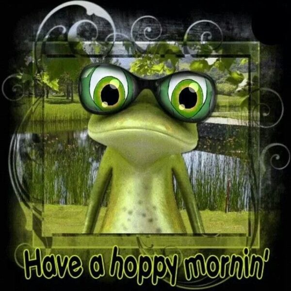 Best Good Morning Frog Picture