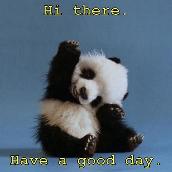 Best Good Morning Panda Image