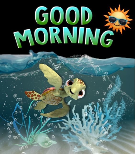 Best Good Morning Turtle Photo