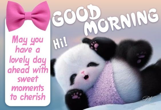 Cute Panda Good Morning Image