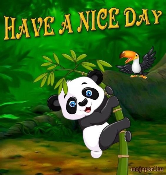 Cute Panda Good Morning Photo