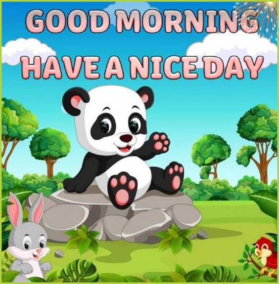 Cute Panda Good Morning Pic