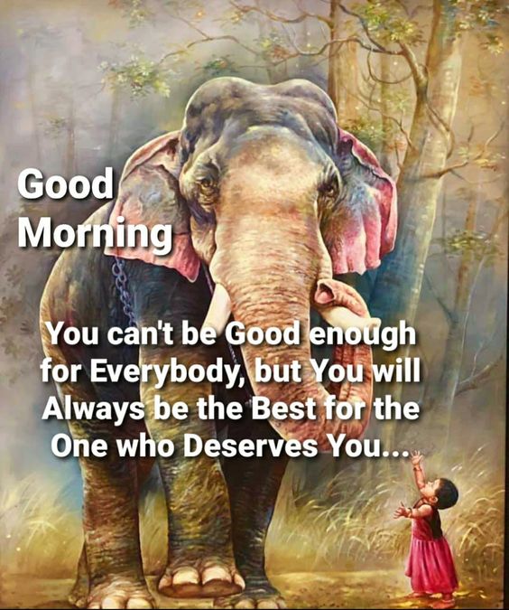 Fantastic Good Morning Elephant