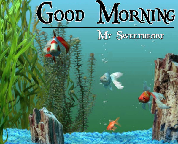 Fantastic Good Morning Fish My Sweetheart