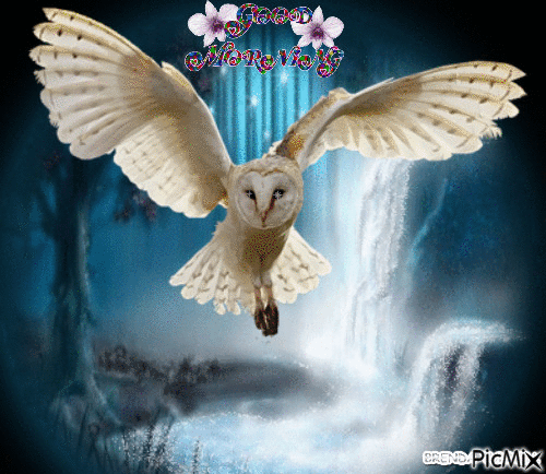 Fantastic Good Morning Owl Gif