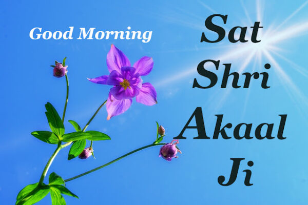 Flower Sat Sri Akal Good Morning