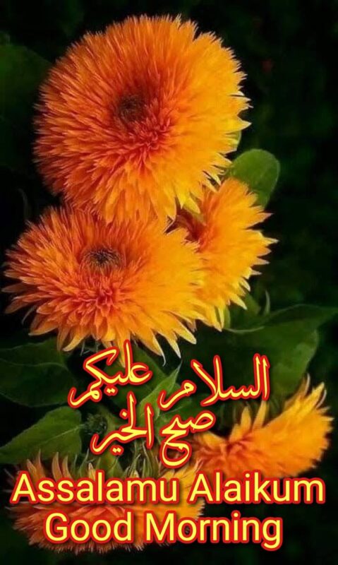 Good Morning Assalamu Alaikum