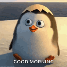 Good Morning Awesome Penguin Hi Gig