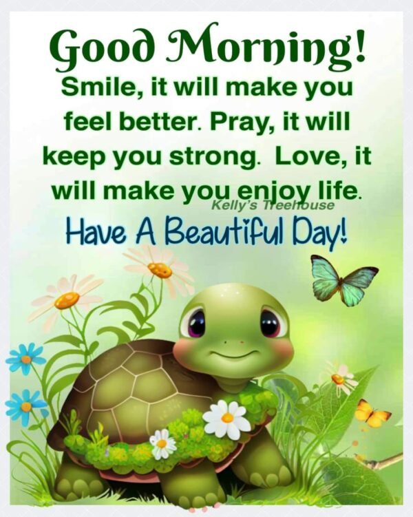 Good Morning Beautiful Turtle Photo
