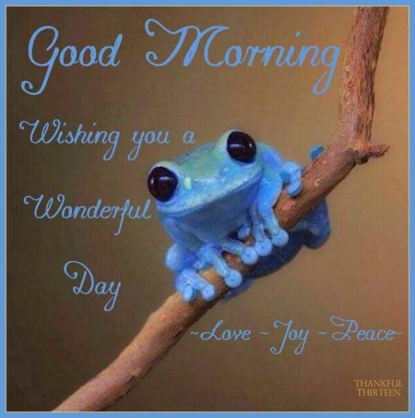 Good Morning Blue Frog