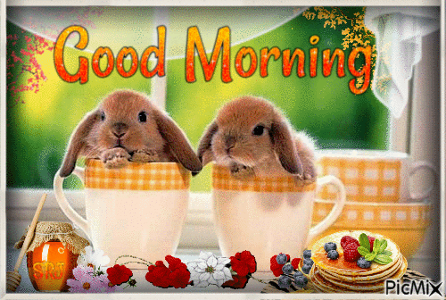 Good Morning Cute Rabbit Picture