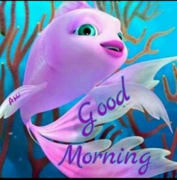 Good Morning Fish Picture