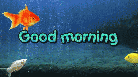 Good Morning Fish