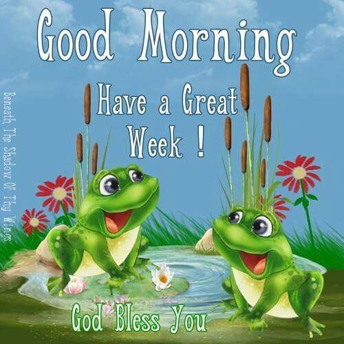 Good Morning Frog Picture
