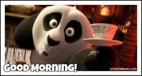 Good Morning Funny Kung Fu Panda