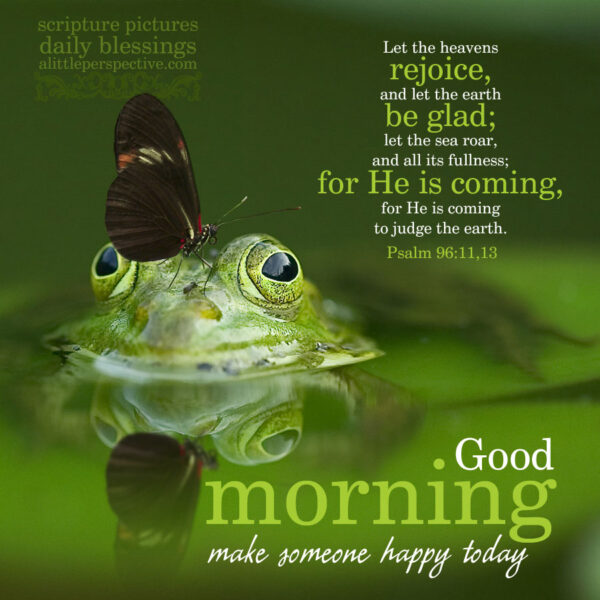 Good Morning Green Frog