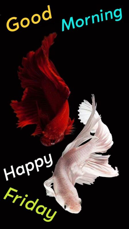 Good Morning Happy Friday Image Fish